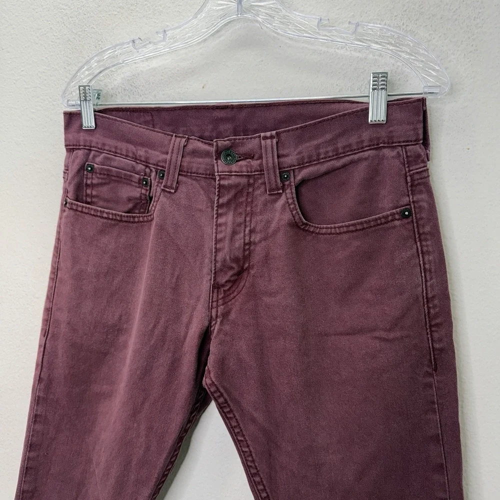 Levis levis 511